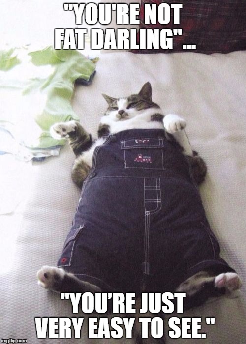Fat Cat Meme | "YOU'RE NOT FAT DARLING"... "YOU’RE JUST VERY EASY TO SEE." | image tagged in memes,fat cat,funny memes,funny | made w/ Imgflip meme maker