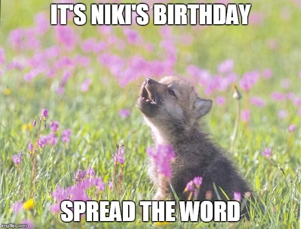 Baby Insanity Wolf | IT'S NIKI'S BIRTHDAY; SPREAD THE WORD | image tagged in memes,baby insanity wolf | made w/ Imgflip meme maker