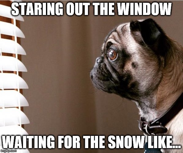 Pug staring out the window | STARING OUT THE WINDOW; WAITING FOR THE SNOW LIKE... | image tagged in pug staring out the window | made w/ Imgflip meme maker