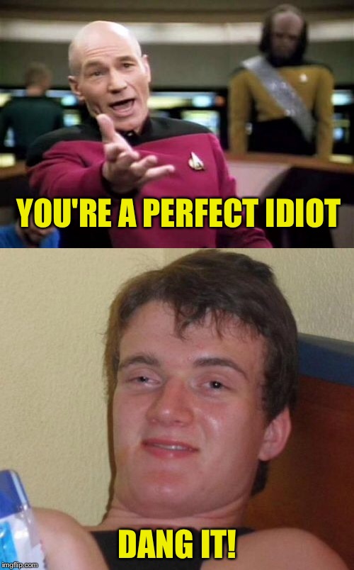YOU'RE A PERFECT IDIOT DANG IT! | made w/ Imgflip meme maker