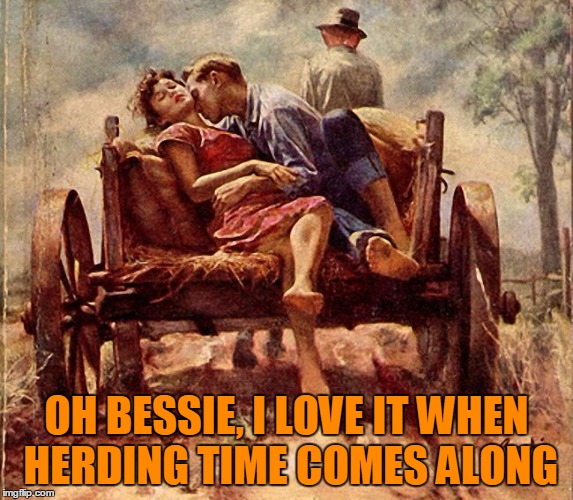 OH BESSIE, I LOVE IT WHEN HERDING TIME COMES ALONG | made w/ Imgflip meme maker