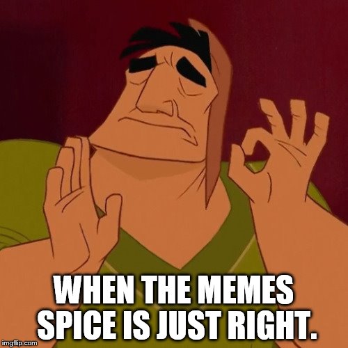 pacha meme | WHEN THE MEMES SPICE IS JUST RIGHT. | image tagged in pacha meme | made w/ Imgflip meme maker