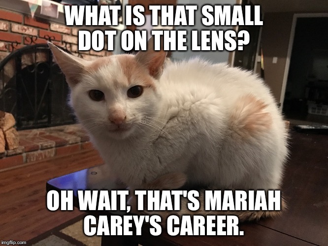 WHAT IS THAT SMALL DOT ON THE LENS? OH WAIT, THAT'S MARIAH CAREY'S CAREER. | image tagged in what | made w/ Imgflip meme maker