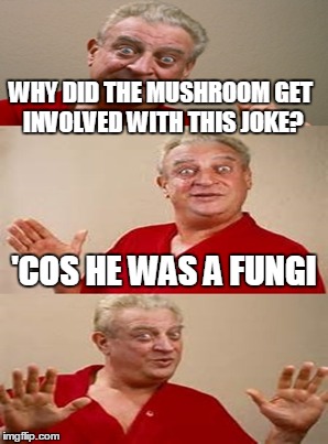 WHY DID THE MUSHROOM GET INVOLVED WITH THIS JOKE? 'COS HE WAS A FUNGI | made w/ Imgflip meme maker