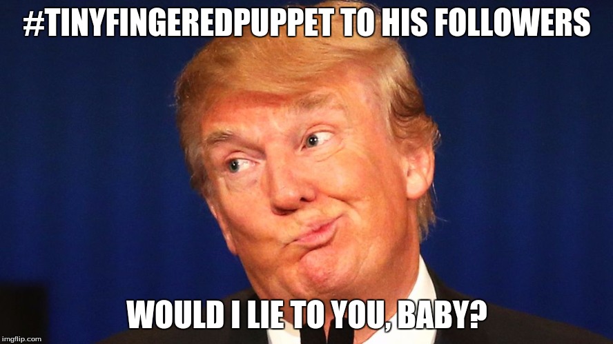 Trump used car salesman | #TINYFINGEREDPUPPET TO HIS FOLLOWERS; WOULD I LIE TO YOU, BABY? | image tagged in trump used car salesman | made w/ Imgflip meme maker
