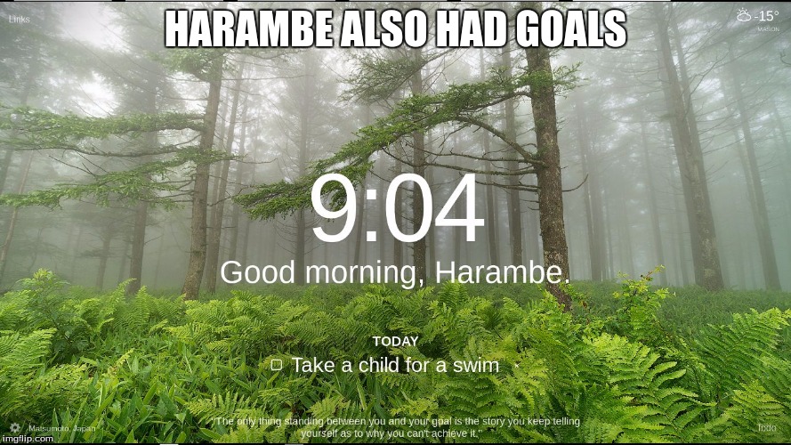 HARAMBE ALSO HAD GOALS | image tagged in harambe's goals | made w/ Imgflip meme maker