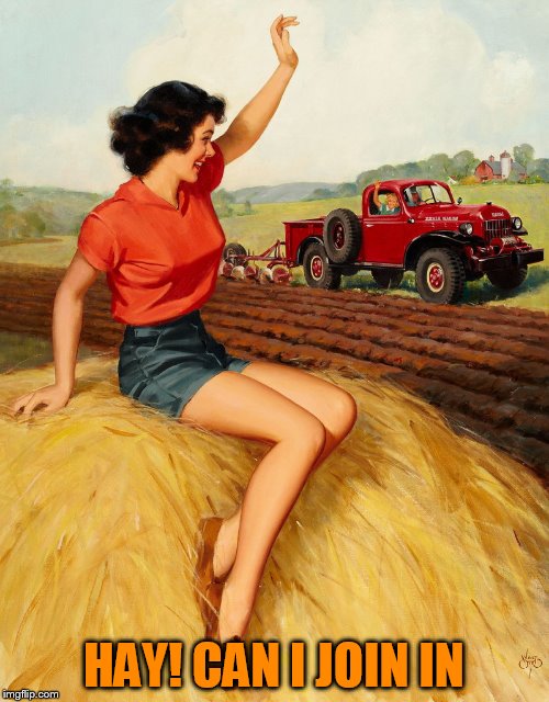 HAY! CAN I JOIN IN | made w/ Imgflip meme maker