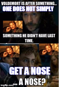 Voldemort is after something | ONE DOES NOT SIMPLY; GET A NOSE | image tagged in voldemort is after something | made w/ Imgflip meme maker