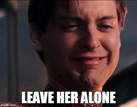 LEAVE HER ALONE | image tagged in spiderman | made w/ Imgflip meme maker