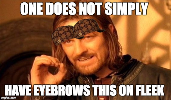 One Does Not Simply | ONE DOES NOT SIMPLY; HAVE EYEBROWS THIS ON FLEEK | image tagged in memes,one does not simply,scumbag | made w/ Imgflip meme maker