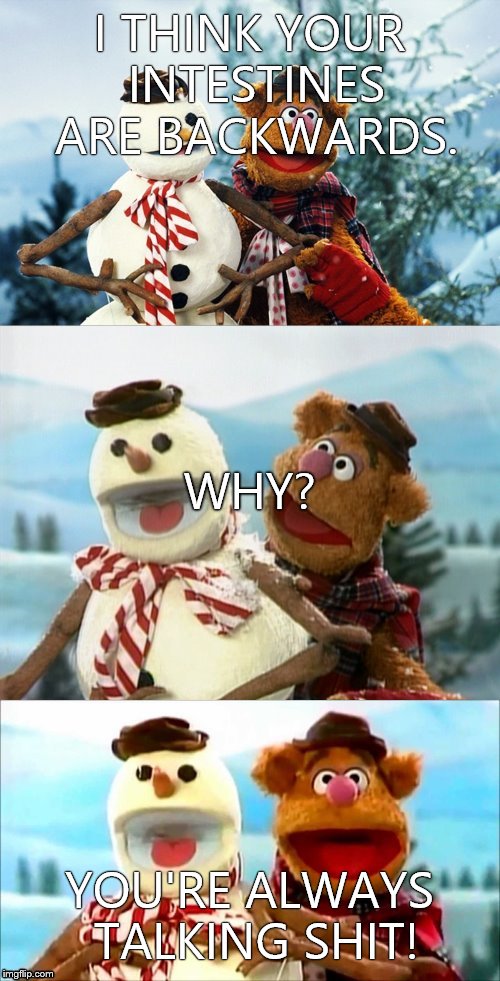 Christmas Puns With Fozzie Bear  | I THINK YOUR INTESTINES ARE BACKWARDS. WHY? YOU'RE ALWAYS TALKING SHIT! | image tagged in christmas puns with fozzie bear | made w/ Imgflip meme maker