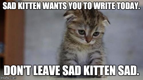 Sad kitten | SAD KITTEN WANTS YOU TO WRITE TODAY. DON'T LEAVE SAD KITTEN SAD. | image tagged in sad kitten | made w/ Imgflip meme maker