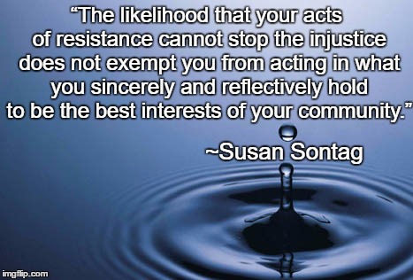 Ripples | “The likelihood that your acts of resistance cannot stop the injustice does not exempt you from acting in what you sincerely and reflectively hold to be the best interests of your community.”; ~Susan Sontag | image tagged in water drop,susan sontag,injustice,resistance | made w/ Imgflip meme maker