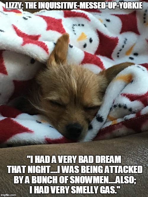 Lizzy: The Inquisitive-Messed-Up-Yorkie | LIZZY: THE INQUISITIVE-MESSED-UP-YORKIE; "I HAD A VERY BAD DREAM THAT NIGHT....I WAS BEING ATTACKED BY A BUNCH OF SNOWMEN....ALSO; I HAD VERY SMELLY GAS." | image tagged in funny dogs,funny,funny memes,humor | made w/ Imgflip meme maker