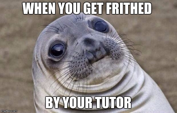 Awkward Moment Sealion Meme | WHEN YOU GET FRITHED; BY YOUR TUTOR | image tagged in memes,awkward moment sealion | made w/ Imgflip meme maker