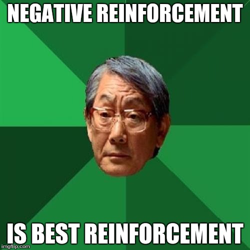 High Expectations Asian Father | NEGATIVE REINFORCEMENT; IS BEST REINFORCEMENT | image tagged in memes,high expectations asian father | made w/ Imgflip meme maker