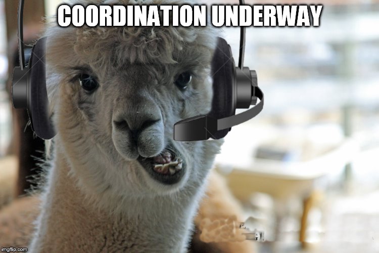 AlpacaHelpdesk | COORDINATION UNDERWAY | image tagged in alpacahelpdesk | made w/ Imgflip meme maker