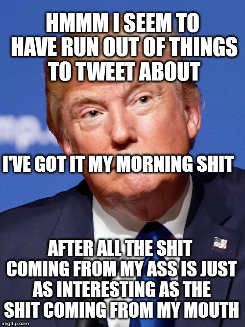HMMM I SEEM TO HAVE RUN OUT OF THINGS TO TWEET ABOUT; I'VE GOT IT MY MORNING SHIT; AFTER ALL THE SHIT COMING FROM MY ASS IS JUST AS INTERESTING AS THE SHIT COMING FROM MY MOUTH | image tagged in donalds dump | made w/ Imgflip meme maker