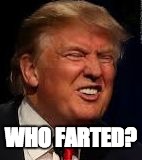 WHO FARTED? | image tagged in who farted,donald trump,trump,donal trump face,farts,potus | made w/ Imgflip meme maker