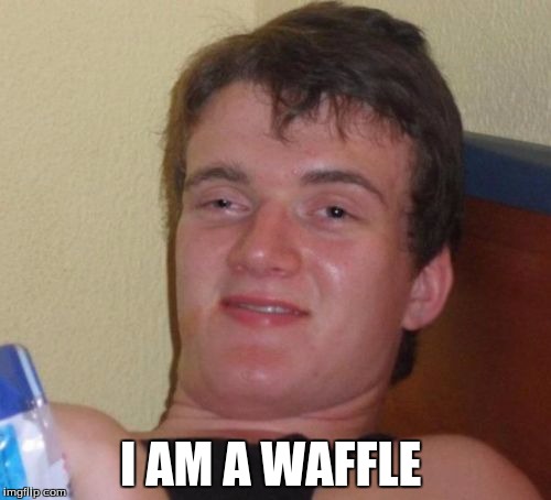 10 Guy | I AM A WAFFLE | image tagged in memes,10 guy | made w/ Imgflip meme maker