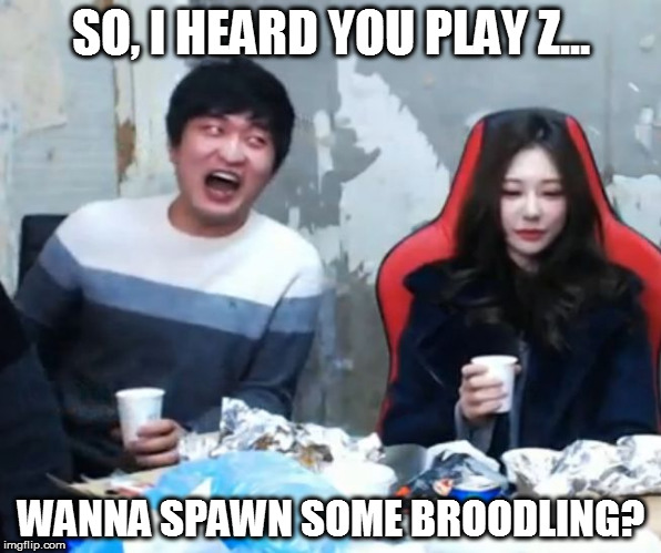 Overly Flirty Flash | SO, I HEARD YOU PLAY Z... WANNA SPAWN SOME BROODLING? | image tagged in overly flirty flash | made w/ Imgflip meme maker
