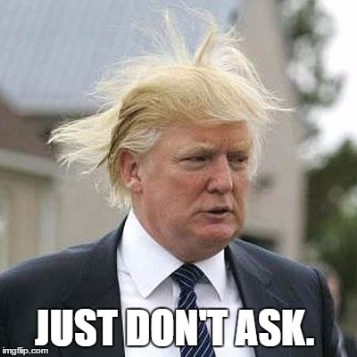 Donald Trump | JUST DON'T ASK. | image tagged in donald trump | made w/ Imgflip meme maker