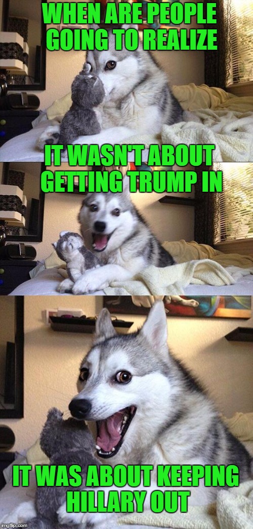 Bad Pun Dog Makes a Point | WHEN ARE PEOPLE GOING TO REALIZE; IT WASN'T ABOUT GETTING TRUMP IN; IT WAS ABOUT KEEPING HILLARY OUT | image tagged in memes,bad pun dog,trump,hillary,wake up america | made w/ Imgflip meme maker