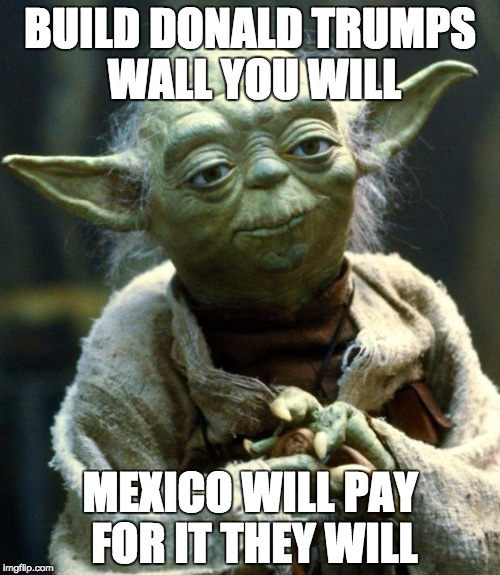 Star Wars Yoda | BUILD DONALD TRUMPS WALL YOU WILL; MEXICO WILL PAY FOR IT THEY WILL | image tagged in memes,star wars yoda | made w/ Imgflip meme maker
