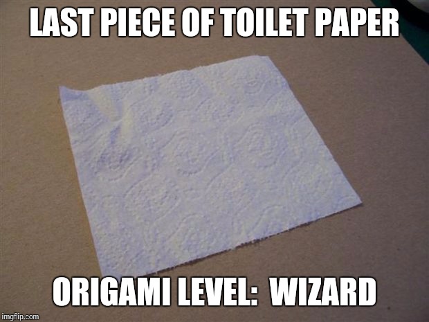 LAST PIECE OF TOILET PAPER; ORIGAMI LEVEL:  WIZARD | image tagged in memes | made w/ Imgflip meme maker