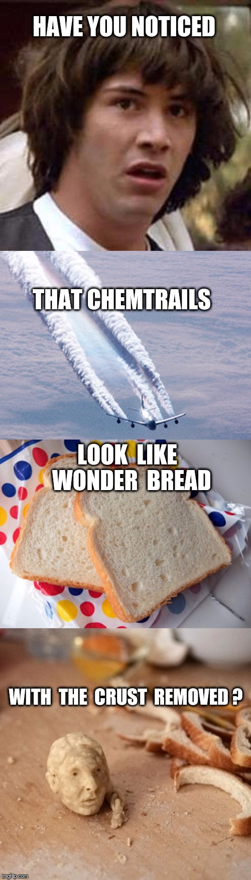 FOOD FOR THOUGHT | HAVE YOU NOTICED; THAT CHEMTRAILS; LOOK  LIKE  WONDER  BREAD; WITH  THE  CRUST  REMOVED ? | image tagged in conspiracy keanu,chemtrails,chemtrail,bread | made w/ Imgflip meme maker