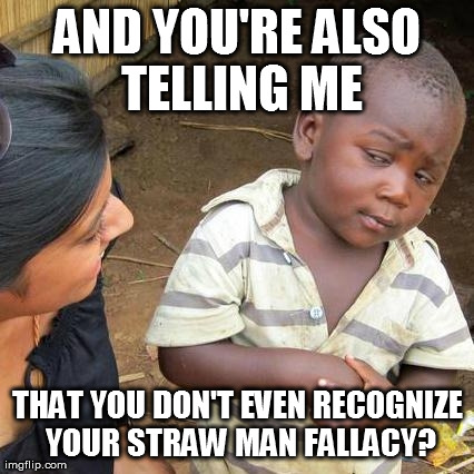 Third World Skeptical Kid Meme | AND YOU'RE ALSO TELLING ME THAT YOU DON'T EVEN RECOGNIZE YOUR STRAW MAN FALLACY? | image tagged in memes,third world skeptical kid | made w/ Imgflip meme maker
