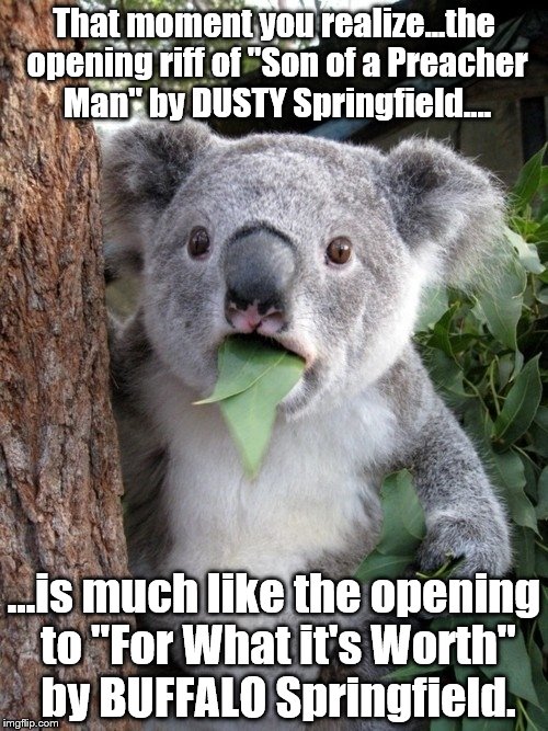 Guitar Riffs | That moment you realize...the opening riff of "Son of a Preacher Man" by DUSTY Springfield.... ...is much like the opening to "For What it's Worth" by BUFFALO Springfield. | image tagged in memes,surprised coala | made w/ Imgflip meme maker
