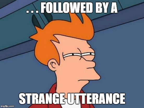 Futurama Fry Meme | . . . FOLLOWED BY A STRANGE UTTERANCE | image tagged in memes,futurama fry | made w/ Imgflip meme maker