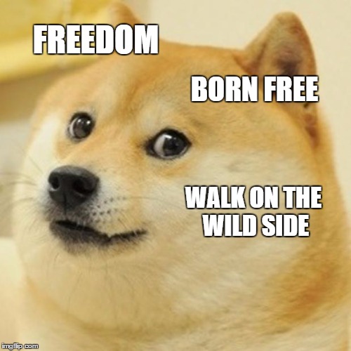 Doge Meme | FREEDOM BORN FREE WALK ON THE WILD SIDE | image tagged in memes,doge | made w/ Imgflip meme maker