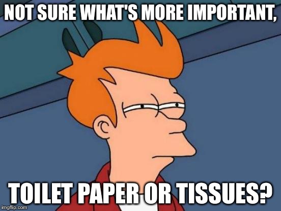 Futurama Fry | NOT SURE WHAT'S MORE IMPORTANT, TOILET PAPER OR TISSUES? | image tagged in memes,futurama fry | made w/ Imgflip meme maker