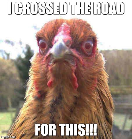 revenge chicken | I CROSSED THE ROAD; FOR THIS!!! | image tagged in revenge chicken | made w/ Imgflip meme maker