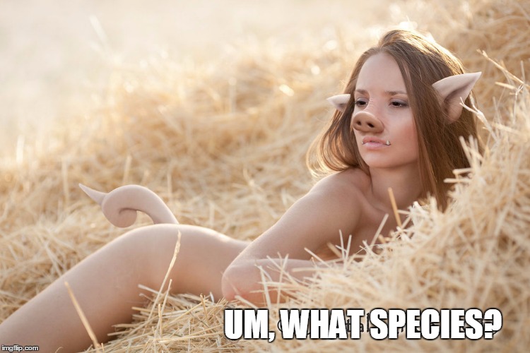 UM, WHAT SPECIES? | made w/ Imgflip meme maker