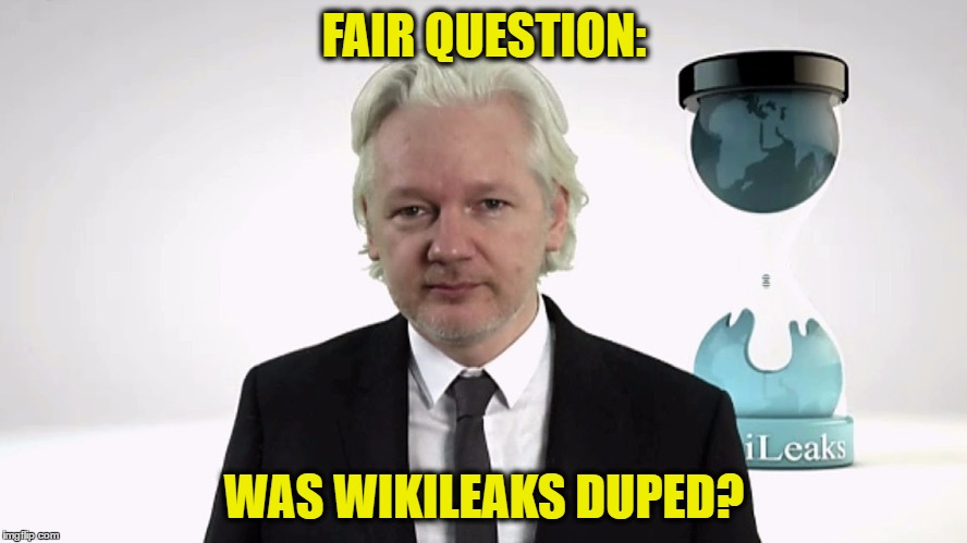 WikileaksProof | FAIR QUESTION:; WAS WIKILEAKS DUPED? | image tagged in wikileaksproof | made w/ Imgflip meme maker