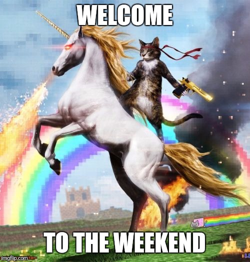 Welcome To The Internets Meme | WELCOME; TO THE WEEKEND | image tagged in memes,welcome to the internets | made w/ Imgflip meme maker