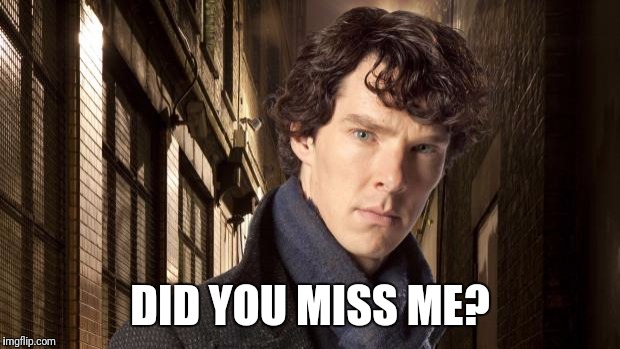 Sherlock holmes | DID YOU MISS ME? | image tagged in sherlock holmes | made w/ Imgflip meme maker