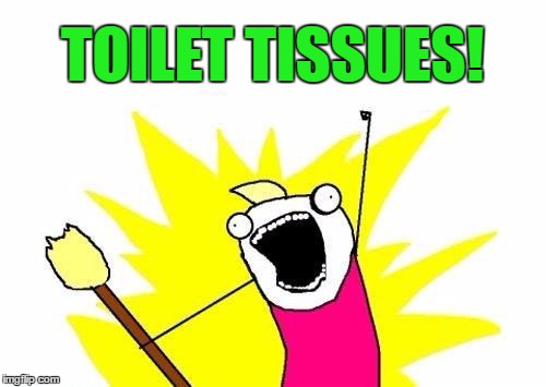 X All The Y Meme | TOILET TISSUES! | image tagged in memes,x all the y | made w/ Imgflip meme maker