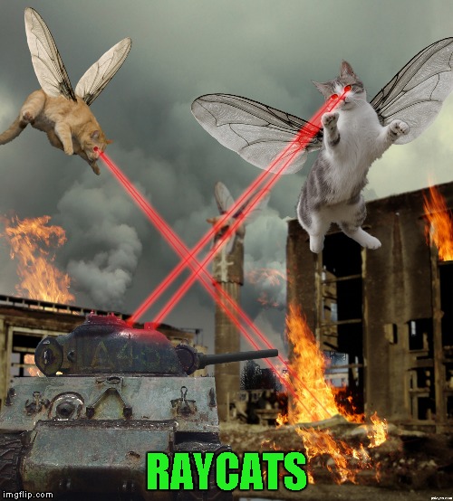 RAYCATS | made w/ Imgflip meme maker