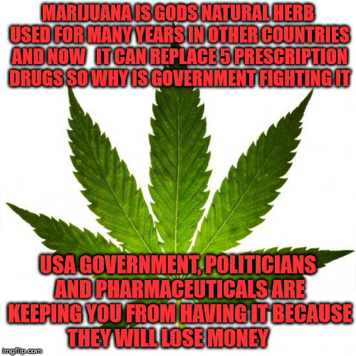marijuana666 | MARIJUANA IS GODS NATURAL HERB USED FOR MANY YEARS IN OTHER COUNTRIES AND NOW   IT CAN REPLACE 5 PRESCRIPTION DRUGS SO WHY IS GOVERNMENT FIGHTING IT; USA GOVERNMENT, POLITICIANS AND PHARMACEUTICALS ARE KEEPING YOU FROM HAVING IT BECAUSE THEY WILL LOSE MONEY | image tagged in marijuana666 | made w/ Imgflip meme maker