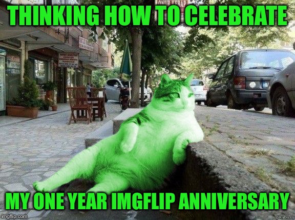 RayCat chillin' | THINKING HOW TO CELEBRATE; MY ONE YEAR IMGFLIP ANNIVERSARY | image tagged in raycat relaxing,memes | made w/ Imgflip meme maker