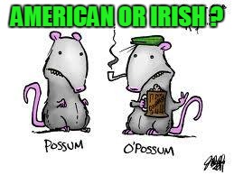 AMERICAN OR IRISH ? | made w/ Imgflip meme maker