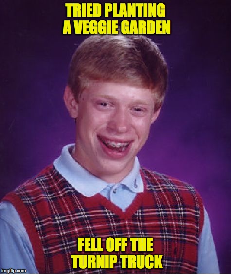 Bad Luck Brian | TRIED PLANTING A VEGGIE GARDEN; FELL OFF THE TURNIP TRUCK | image tagged in memes,bad luck brian | made w/ Imgflip meme maker
