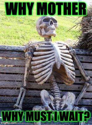 Waiting Skeleton | WHY MOTHER; WHY MUST I WAIT? | image tagged in memes,waiting skeleton | made w/ Imgflip meme maker