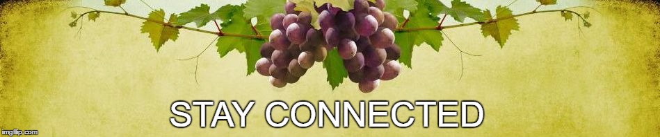 STAY CONNECTED | image tagged in connected vine | made w/ Imgflip meme maker