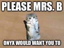 begging cat | PLEASE MRS. B; ONYX WOULD WANT YOU TO | image tagged in begging cat | made w/ Imgflip meme maker