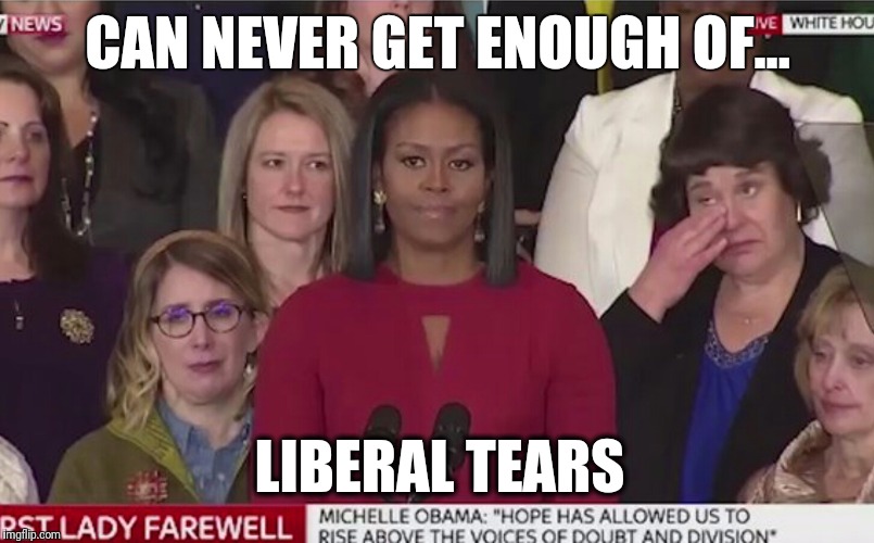 CAN NEVER GET ENOUGH OF... LIBERAL TEARS | image tagged in lib tears | made w/ Imgflip meme maker